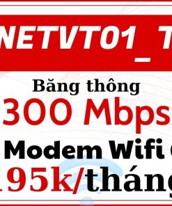 Gói cước internet NETVT01_T